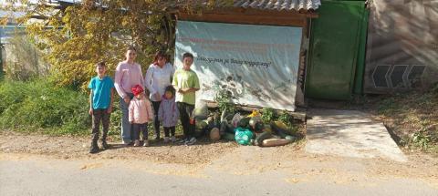 Дошколята Иркутского района собрали овощи для питомцев Иркутского зоосада