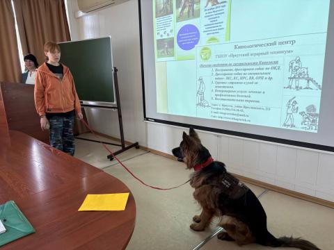 ЦОПП в жюри XVII Всероссийской конференции: ищем инновации в образовании!