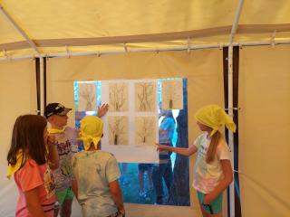 Навстречу выбору профессии 